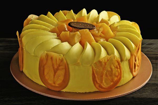 Frozen Cake