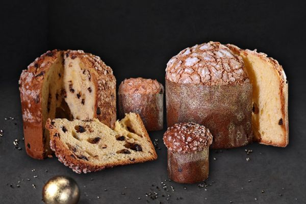 chocolate-panettone